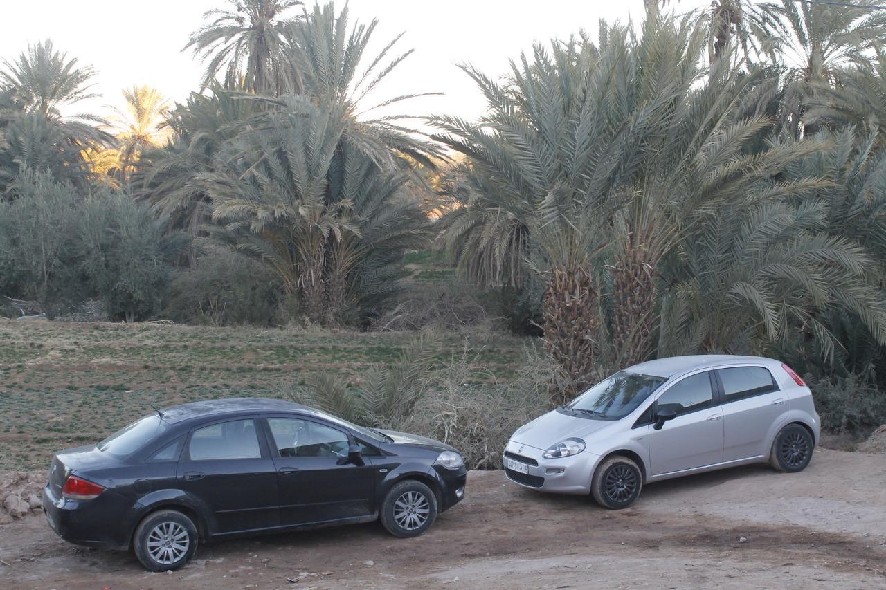 Tajda Riad Sarayas المظهر الخارجي الصورة