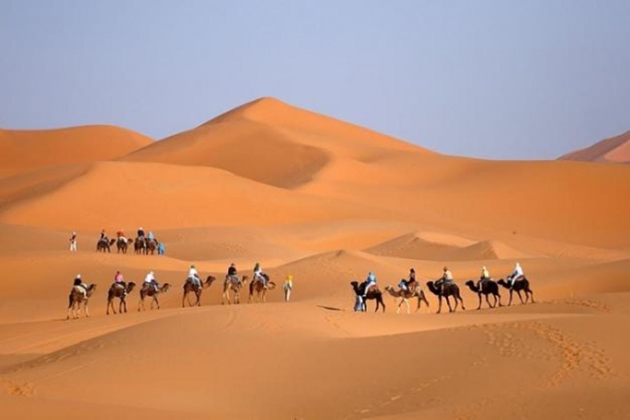Tajda Riad Sarayas المظهر الخارجي الصورة